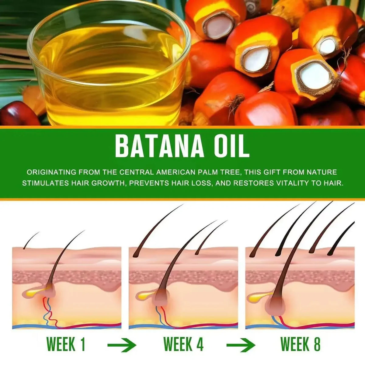 Raw Batana Oil – 100% Natural Hair Growth & Thickness Oil Hair Growth Oil HIP