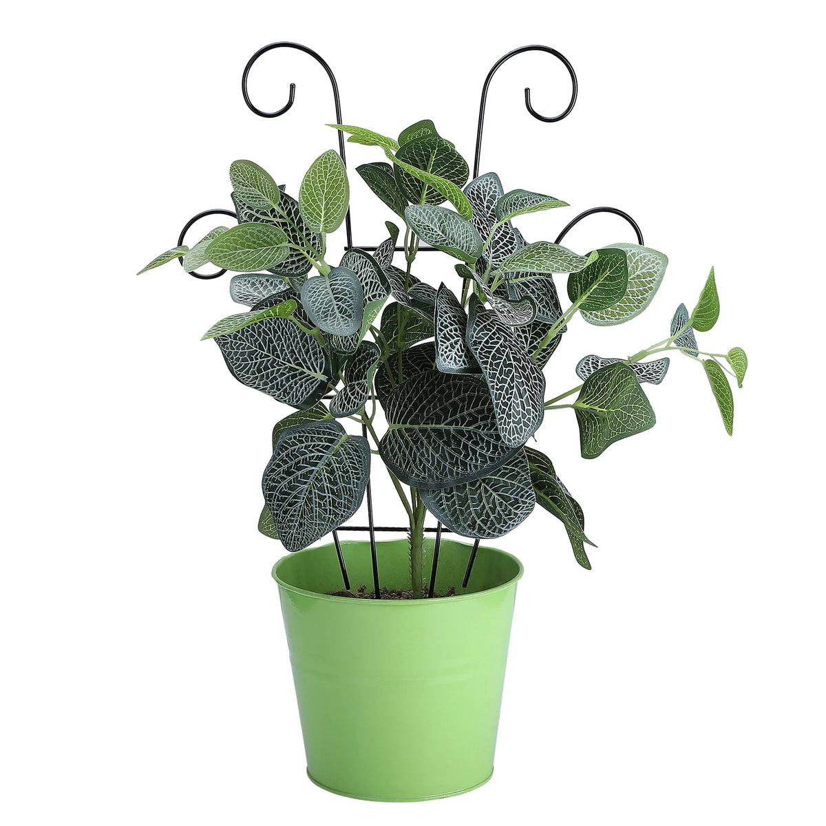 Climbing Plant Trellis Plant Trellis Small Metal Potted Vine Support Climber Garden Trellis for Indoor Outdoor 40 X 30cm HIP