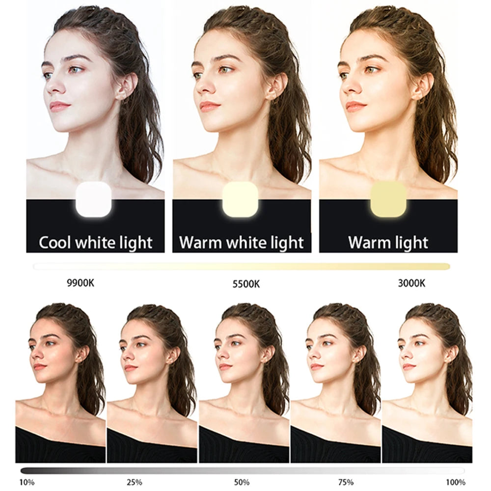 Mini Clip-On LED Selfie Fill Light – Rechargeable & Dimmable LED Selfie Fill Light HIP