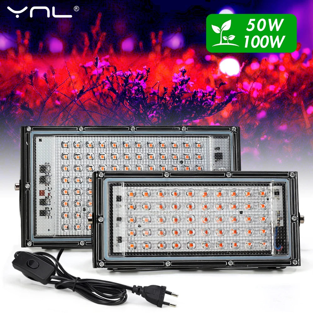 YNL 50W 100W 150W Full Spectrum LED Grow Light | Phyto Lamp LED Grow Light HIP 50W