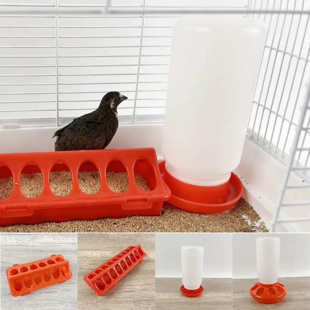 Large-Capacity Plastic Poultry Feeder & Bird Waterer Poultry Feeder Waterer HIP