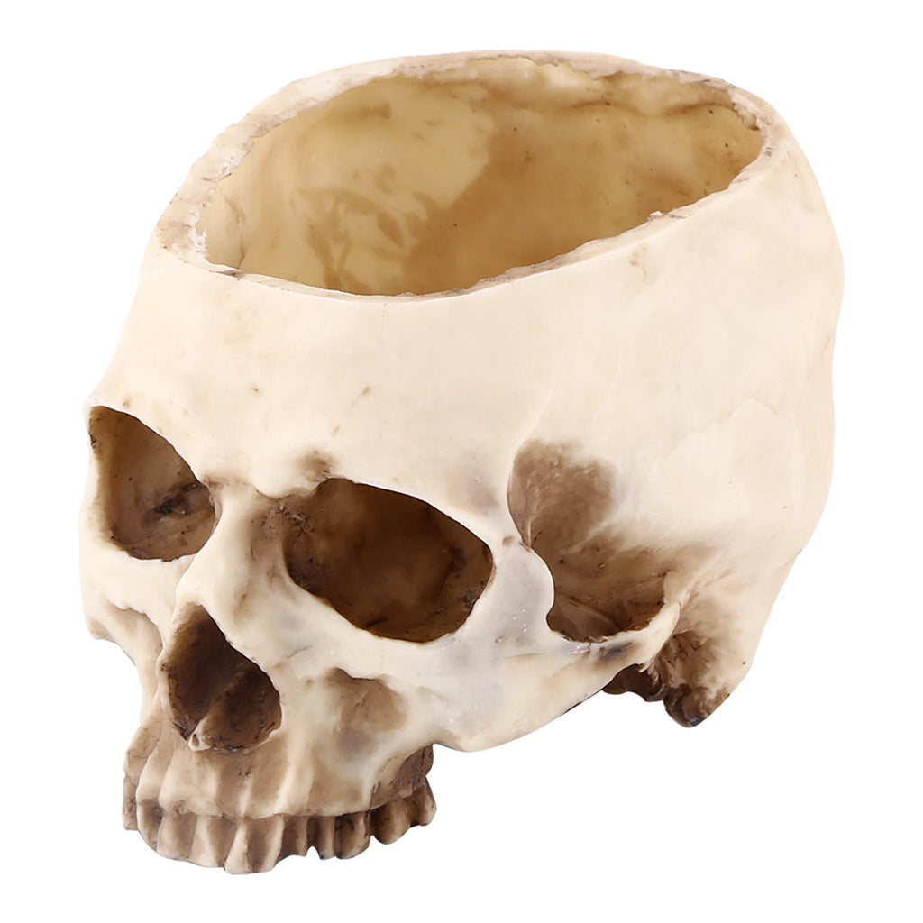 Resin Skull Head Design Flower Pot Planter Container Decoration Skull Container Skull Pot Skull Plant Pot Skull Flowerpot HIP A