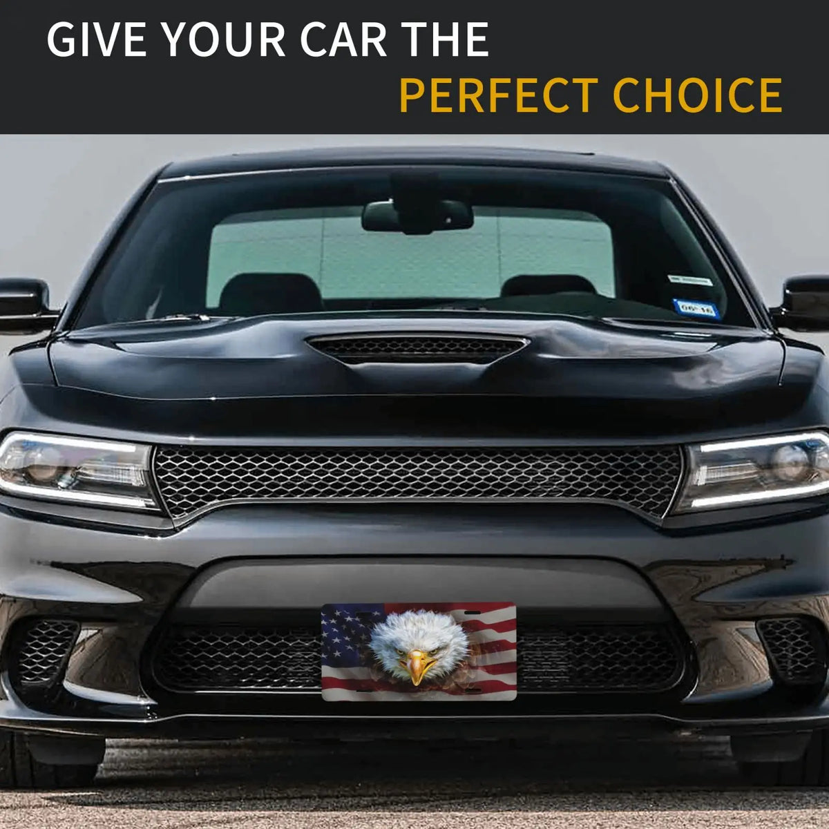 Eagle American Flag Aluminum License Plate – Weatherproof Vanity Tag Decorative License Plate HIP