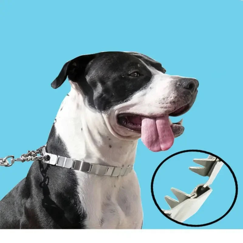 Stainless Steel Dog Training Chain Collar – Large Breeds Dog Training Collar HIP