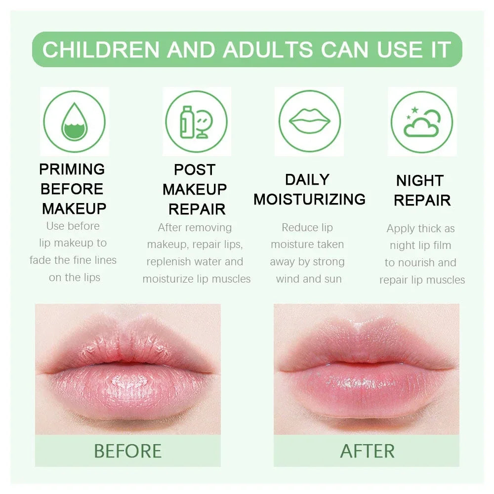 Fruit Lip Balm Winter Fashion Moisturizing Lip Oil Long-Lasting Clear Transparent Natural Aloe Lipstick Lip Care Lipstick Makeup HIP