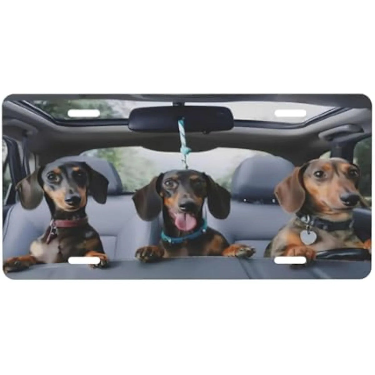Dachshund Dogs in Car Aluminum Novelty Vanity License Plate Novelty License Plate HIP 1