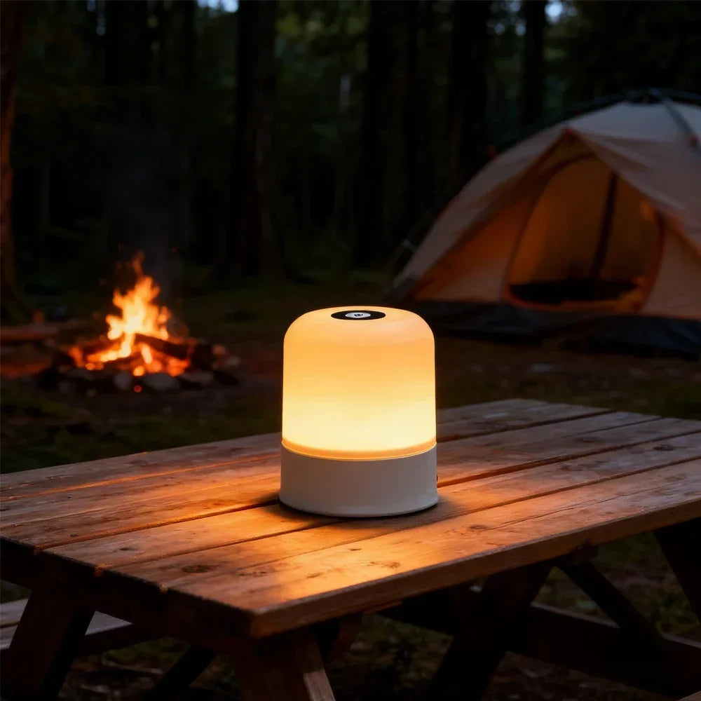 LED Night Light Dimmable Rechargeable/Plug-in Desktop Bedroom Bedside Lighting Decorative Touchscreen Reading RGB Desk Lamp HIP