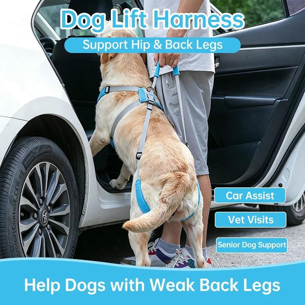 Adjustable Dog Sling Hind Leg Support Rehabilitation Walking Aid for Disabled Elderly Dogs Rehabilitation Walking Aid for Pets HIP