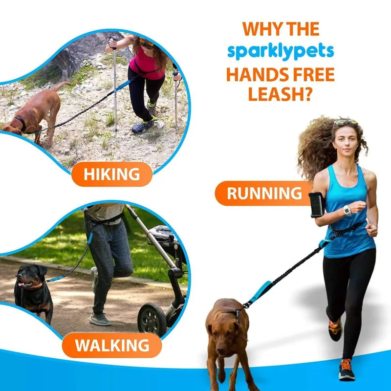Double Elastic Reflective Running Leash Portable Retractable Dog Leash Dog Chain Leash Pet Supplies Wholesale HIP