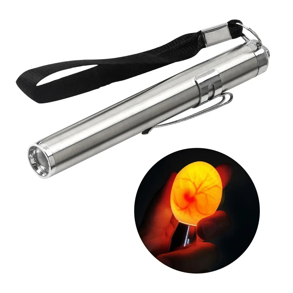 Livestock Incubator Light Inspection Stainless Steel Cold Light Flashlight LED Egg Detector Hatching Equipment Chicken Tools HIP