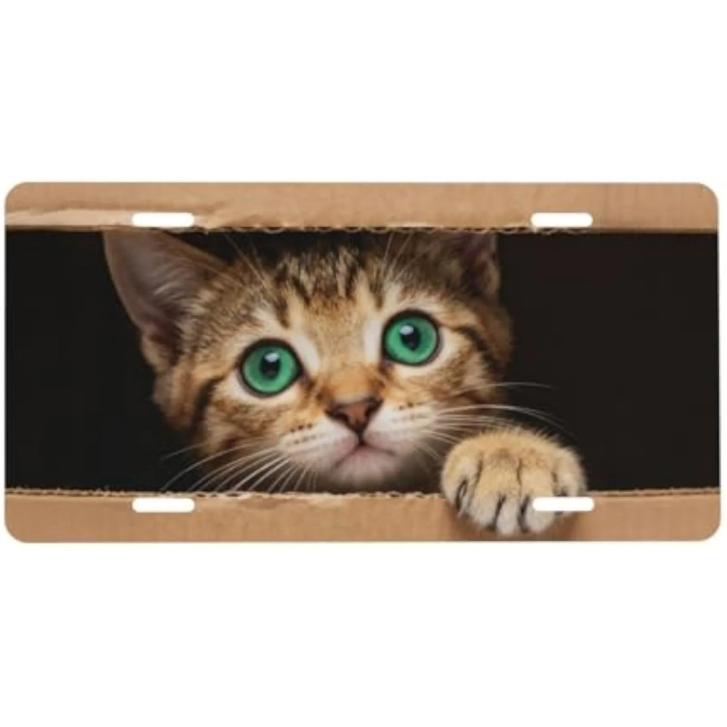 Green-Eyed Kitten License Plate Cover | Aluminum Car Decor License Plate Cover HIP 1
