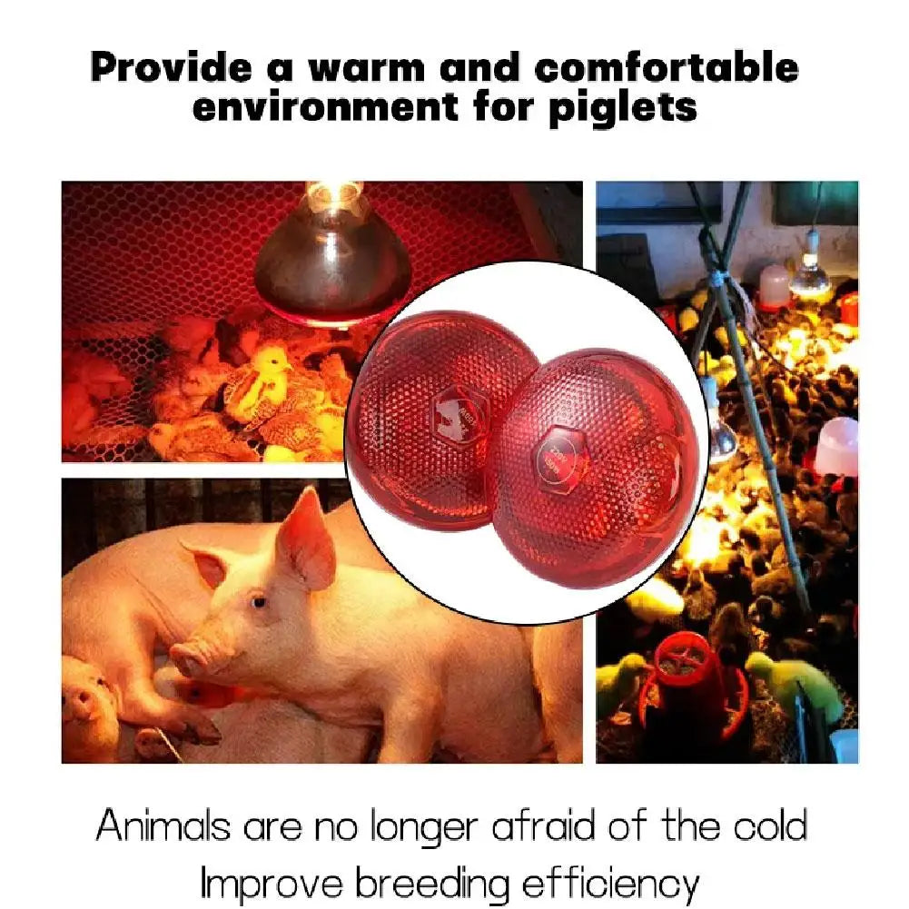 Red Heat Bulb Lamp Heat Preservation Lamp Day Night Amphibian Snake Lamp Heat Reptile Bulb UV Light For Chicks Piglets HIP