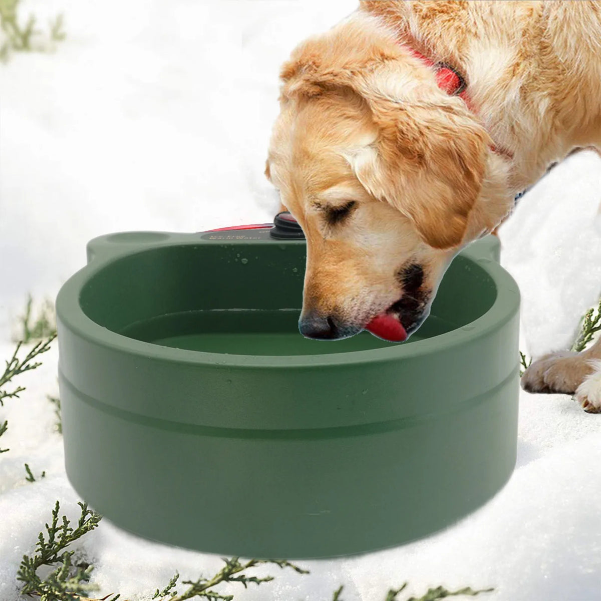 Electric Dog Water Bowl Green Heated Dog Bowl for Pet Dog Electric Dog Water Bowl Heated Dog Bowl Thermal Dog Bowl HIP