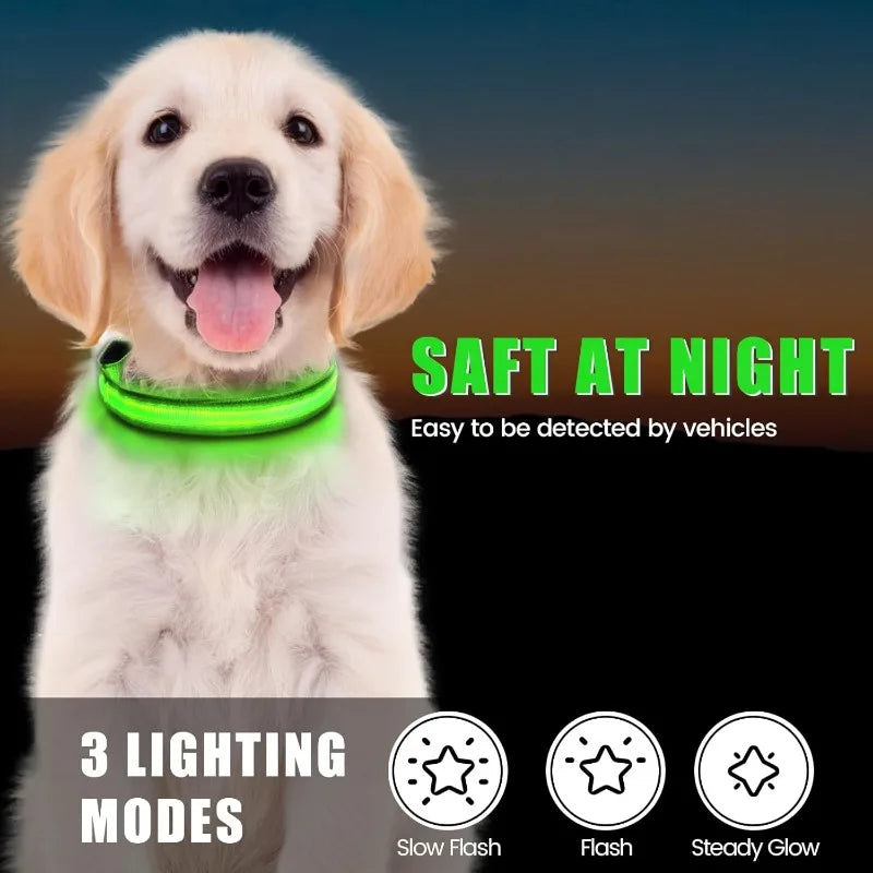 LED Rechargeable Dog Collar with AirTag Case – All Sizes LED Pet Collar HIP