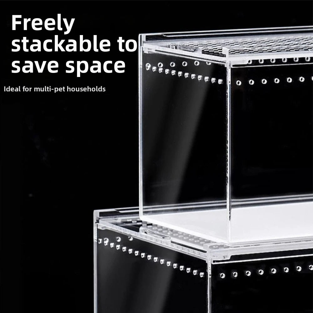 Transparent Acrylic Reptile Terrarium – Ventilated & Secure Reptile Terrarium HIP