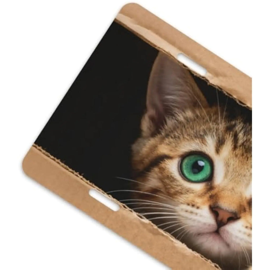 Green-Eyed Kitten License Plate Cover | Aluminum Car Decor License Plate Cover HIP
