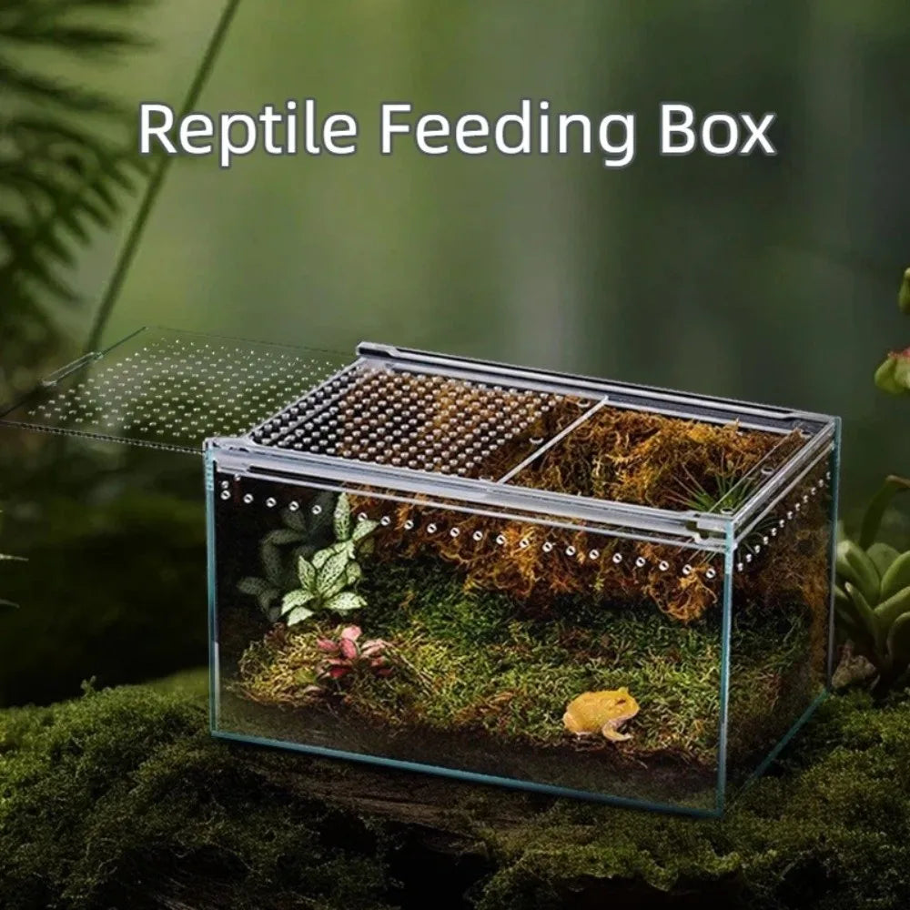 Transparent Acrylic Reptile Terrarium – Ventilated & Secure Reptile Terrarium HIP
