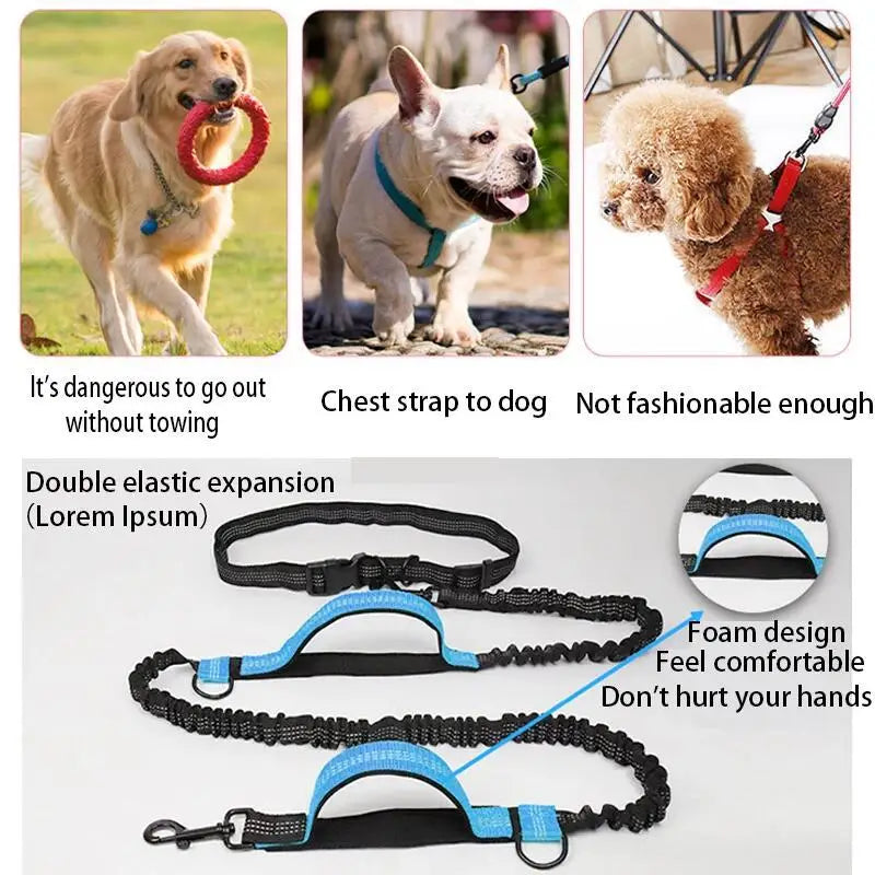 Double Elastic Reflective Running Leash Portable Retractable Dog Leash Dog Chain Leash Pet Supplies Wholesale HIP