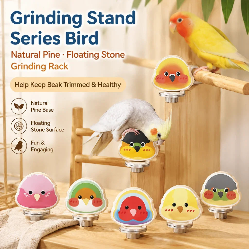 Cartoon Parrot Pattern Bird Platform Natural Pine Floating Stone Grinding Rack for Animal Totoro Squirrel Hamster Bracket Board HIP