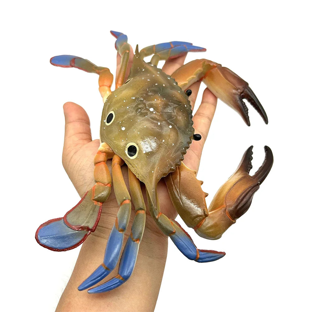 Cute Mini Soft Squid Starfish Marine Animal Model Ornament for Stress Relief Children's Education Gift Home Decoration HIP