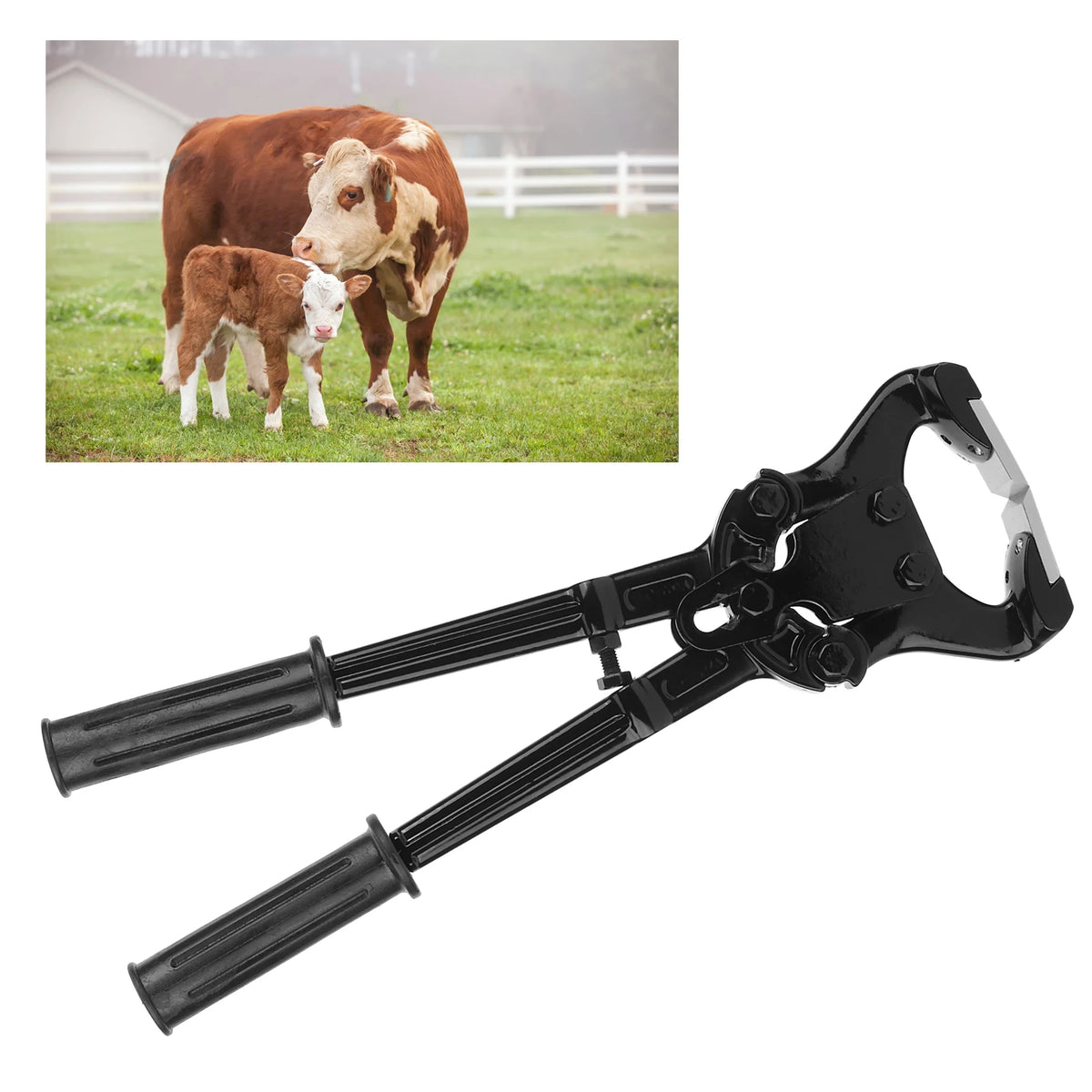 Multi‑Functional Stainless Steel Cow Hoof Trimmer Pliers Shoeing Tools Livestock Equipment HIP