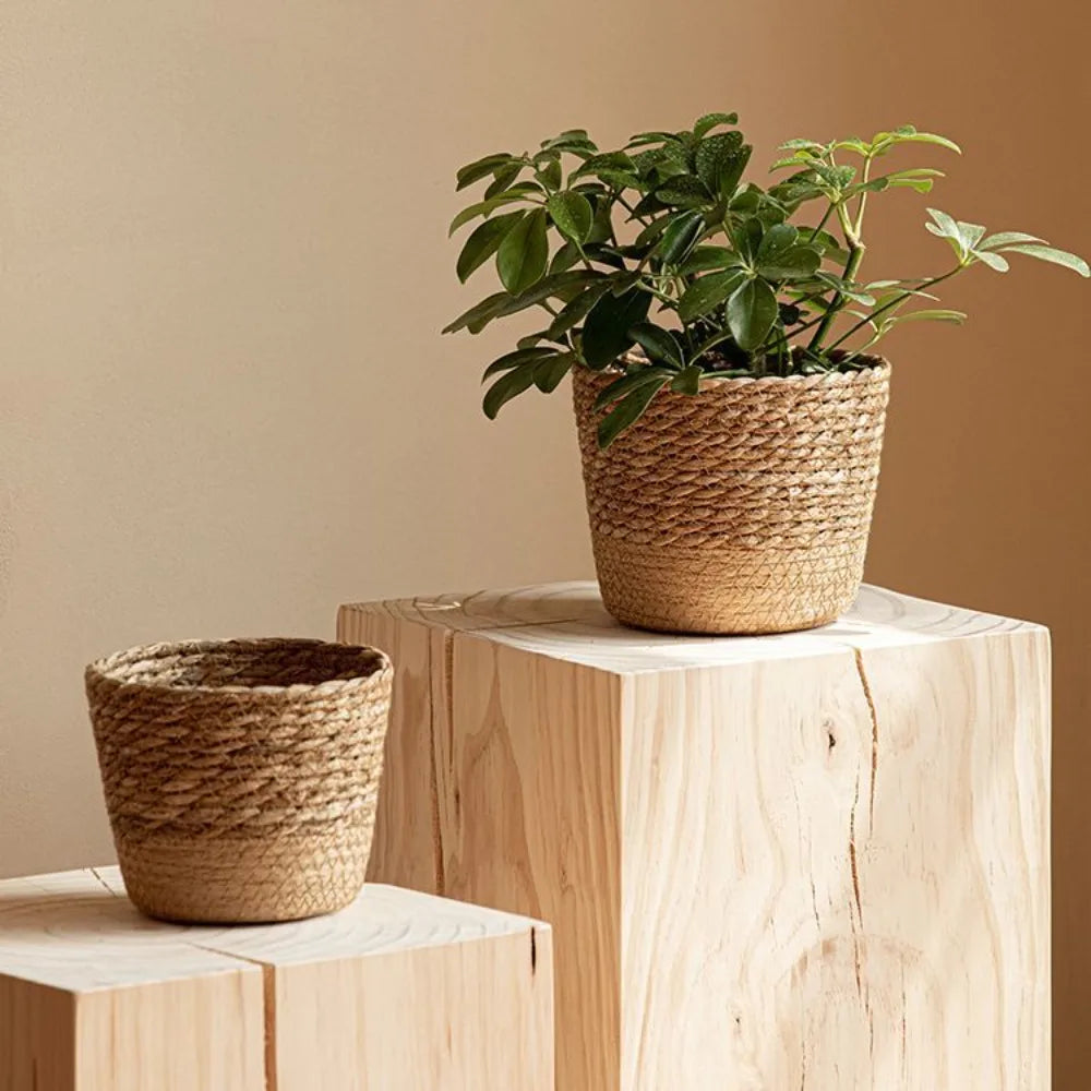 Handmade Woven Seagrass Planter Basket – 3 Sizes Woven Planter Basket HIP