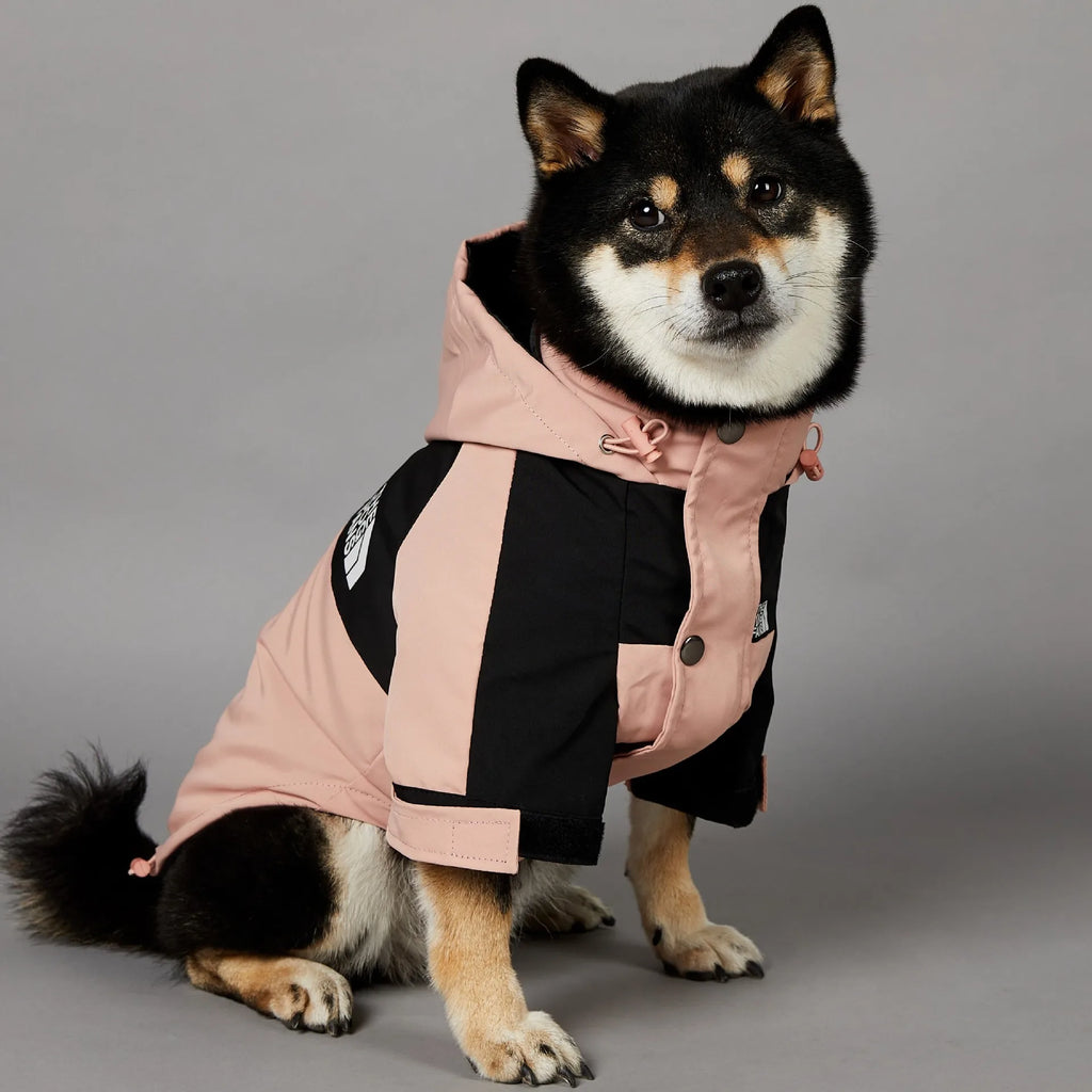 Winter Windproof Dog Jacket – Reflective Coat for Small Dogs Dog Winter Jacket HIP