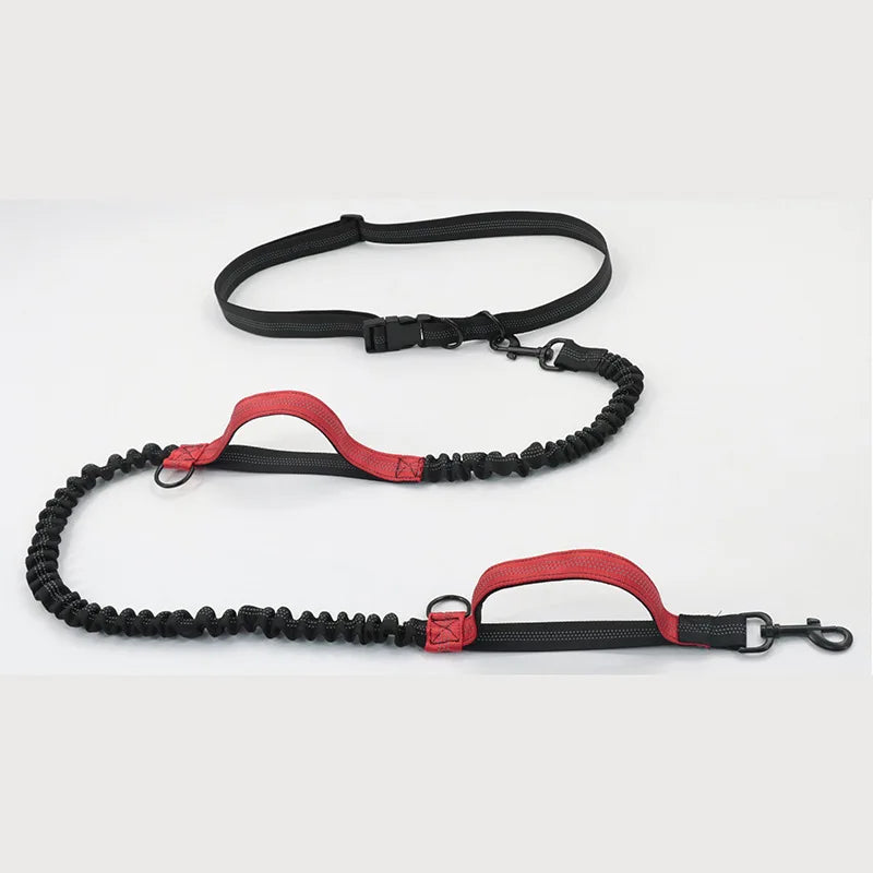 Double Elastic Reflective Running Leash Portable Retractable Dog Leash Dog Chain Leash Pet Supplies Wholesale HIP Red China Mainland