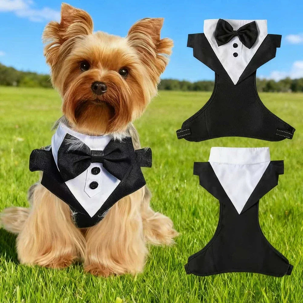 Dog Tuxedo Wedding Outfit Formal Pet Suit with Bow Adjustable Strap Small Medium Sized Dog Party Birthday Photography Costume HIP