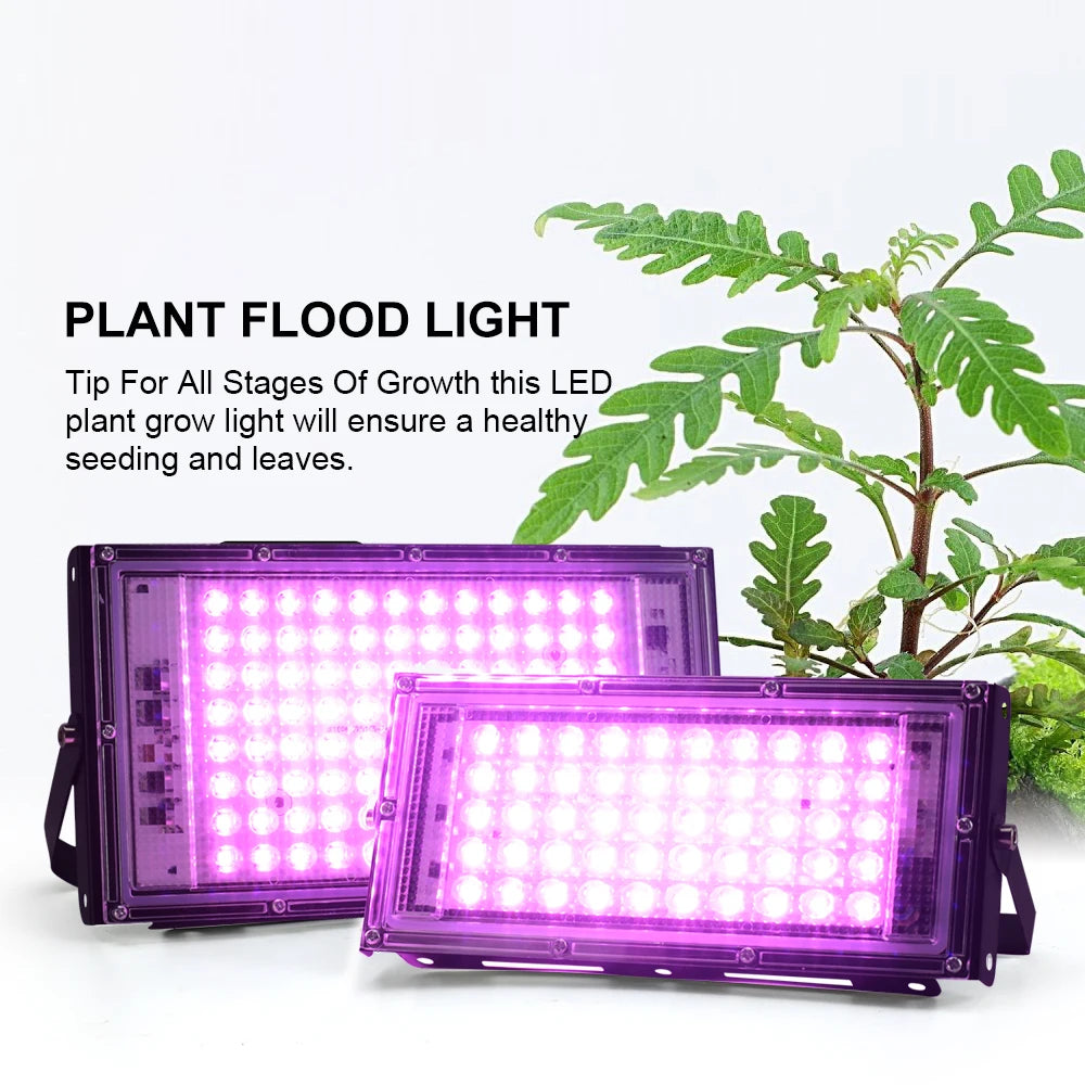 YNL 50W 100W 150W Full Spectrum LED Grow Light | Phyto Lamp LED Grow Light HIP