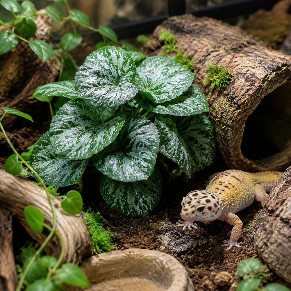 Plant Rainforest Habitat Decoration Reptile Breeding Farm Water Tank Grass Rainforest Landscape Decoration HIP