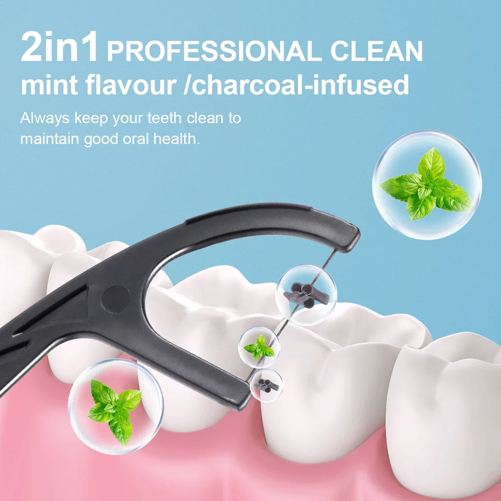 RUZOFO Bamboo Charcoal Menthol Dental Floss Picks 30–500 Pcs Dental Floss Picks HIP
