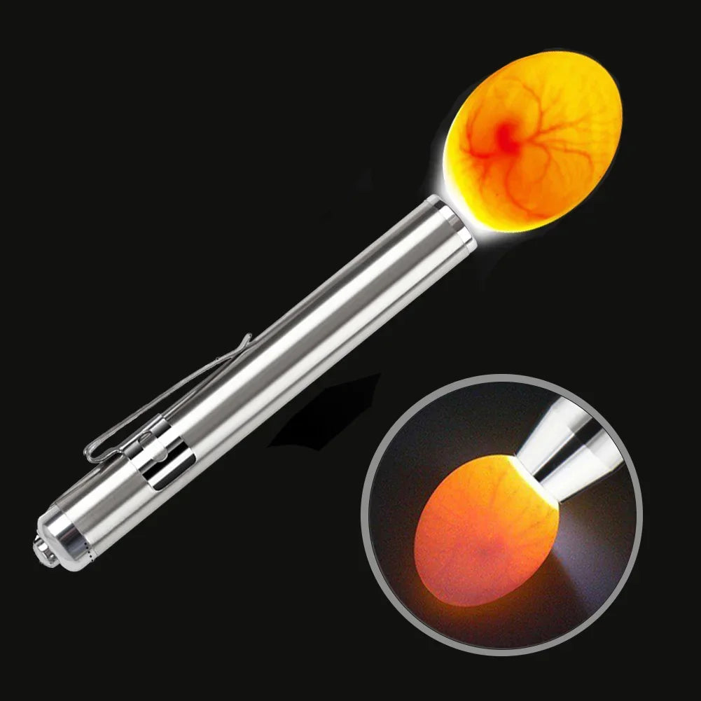 Livestock Incubator Light Inspection Stainless Steel Cold Light Flashlight LED Egg Detector Hatching Equipment Chicken Tools HIP
