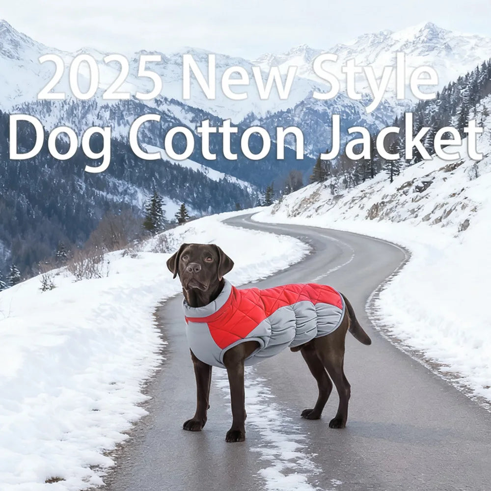Winter Cotton Dog Jacket with D-Ring | Small to Large Dogs Dog Winter Jacket HIP