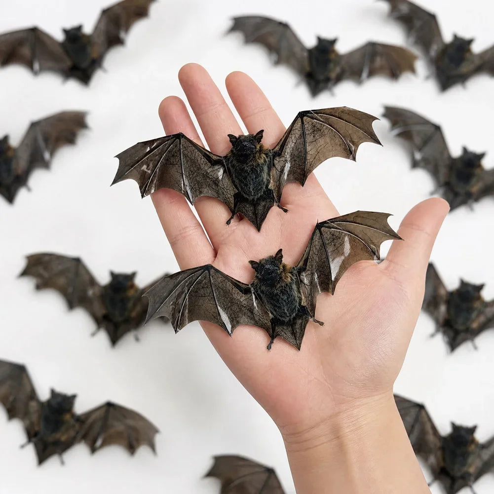 Realistic Horror Halloween Home Window Wall Indoor Party DIY Decor Halloween Bat Decals 12Pcs 3D Vintage Bat Wall Stickers HIP