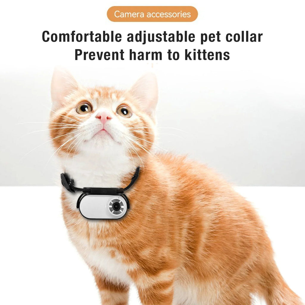 Pet Collar Camera 120 Deg Lens OTG Connection Video Recording Adjustable Magnetic Cat Sport Camera for Outdoor Dog Collar Camera HIP
