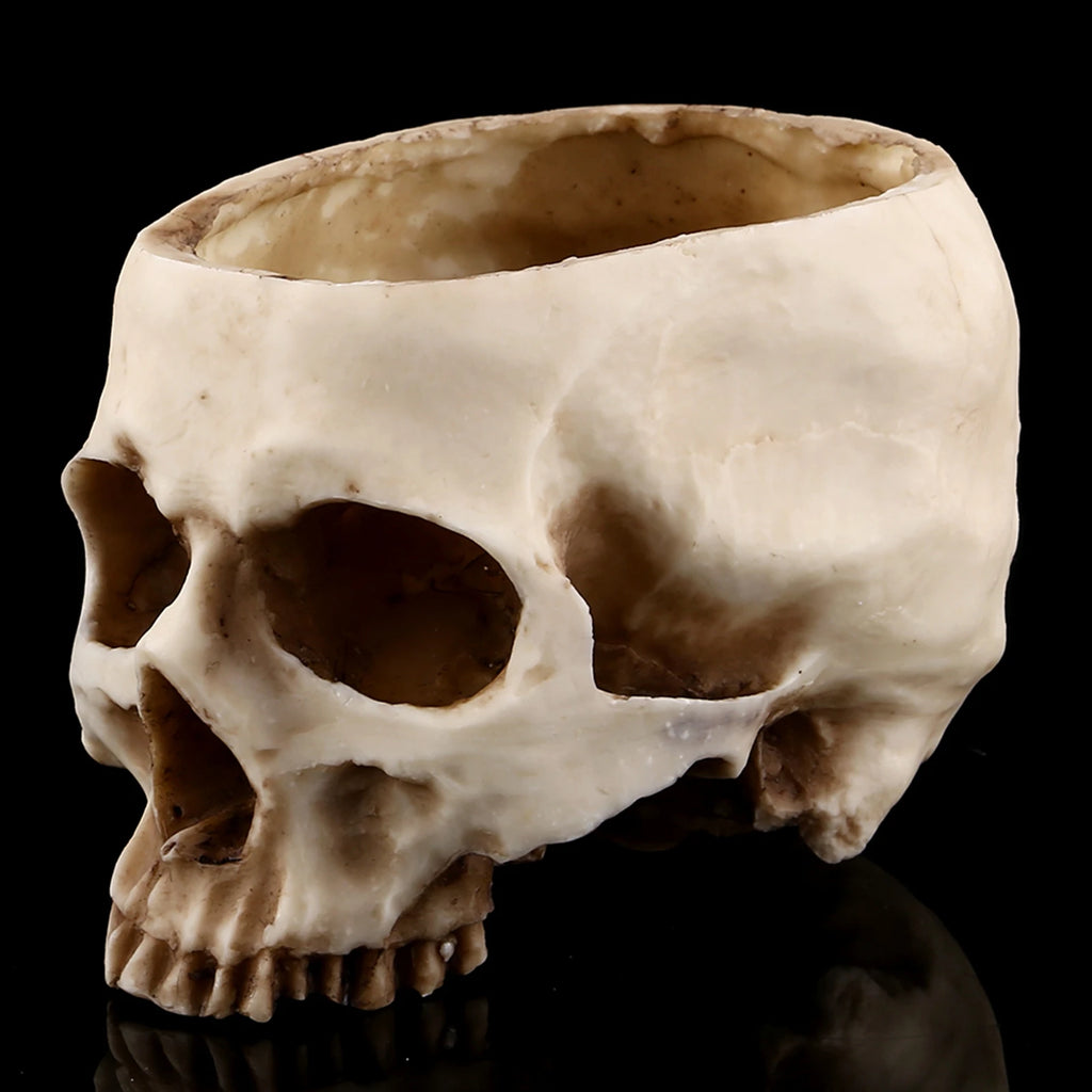 Resin Skull Head Design Flower Pot Planter Container Decoration Skull Container Skull Pot Skull Plant Pot Skull Flowerpot HIP