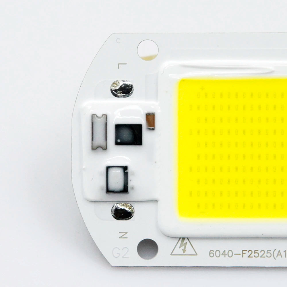 YNL LED COB Chip 10W–50W Smart IC No Driver 110V/220V LED COB Chip HIP