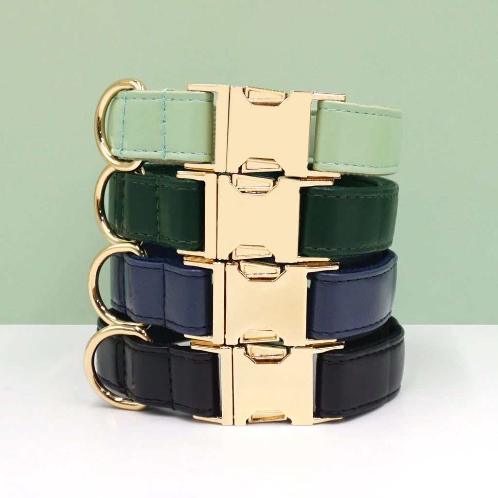 Personalized Leather Dog Collar – Custom Name & Metal Buckle Custom Dog Collar HIP