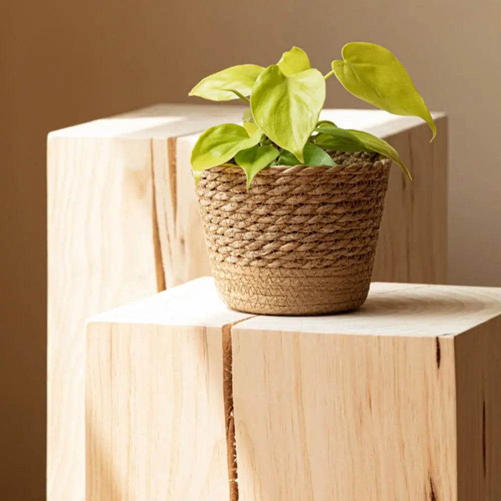 Handmade Woven Seagrass Planter Basket – 3 Sizes Woven Planter Basket HIP