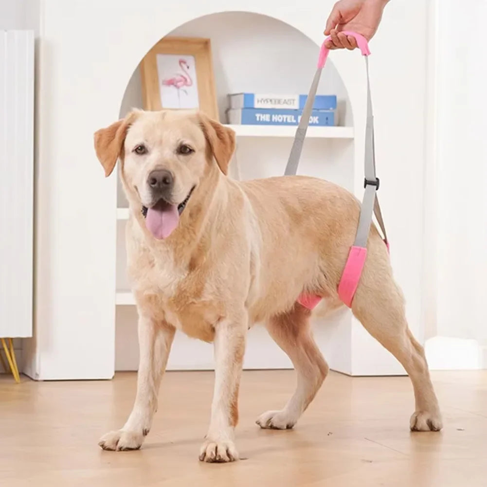 Adjustable Dog Sling Hind Leg Support Rehabilitation Walking Aid for Disabled Elderly Dogs Rehabilitation Walking Aid for Pets HIP