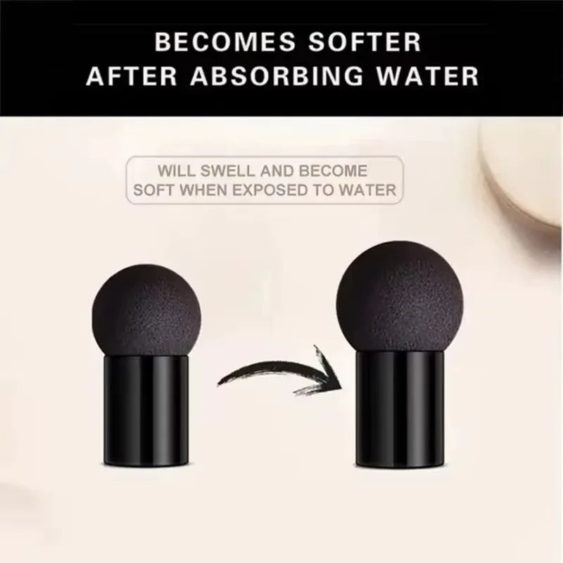 Air Cushion CC Cream Mushroom Puff – Brightening BB Cream CC Cream Foundation HIP