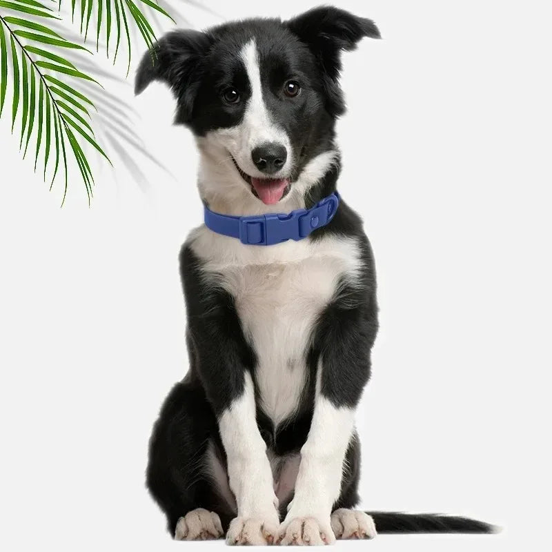 Macaron PVC Dog Collar – Waterproof & Adjustable | All Sizes Dog Collar HIP