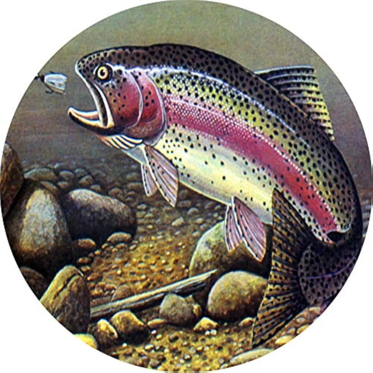 Rainbow Trout Spare Tire Cover – Polyester Wheel Protector Spare Tire Cover HIP Acquiesce 14 in