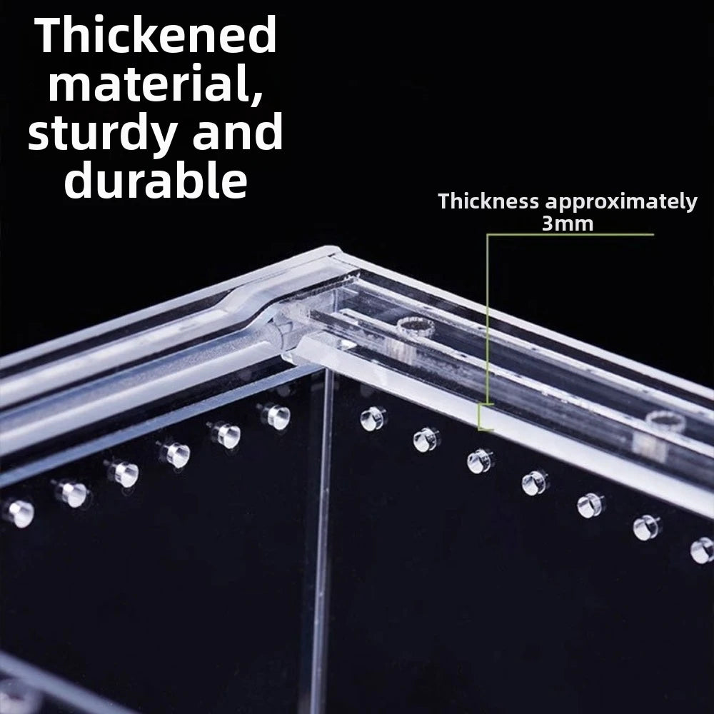 Transparent Acrylic Reptile Terrarium – Ventilated & Secure Reptile Terrarium HIP