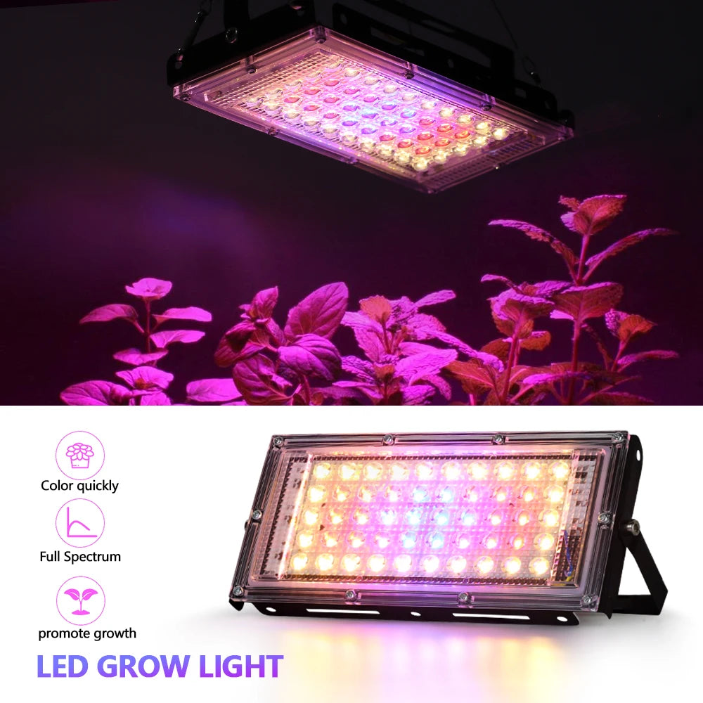 50W Full Spectrum LED Grow Light – Greenhouse & Hydroponics LED Grow Light HIP