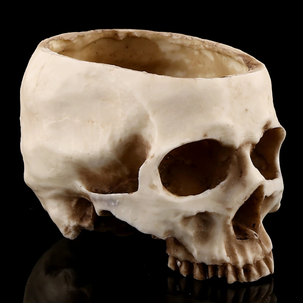 Resin Skull Head Design Flower Pot Planter Container Decoration Skull Container Skull Pot Skull Flowerpot Skull Plant Pot HIP