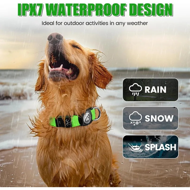 LED Rechargeable Dog Collar with AirTag Case – All Sizes LED Pet Collar HIP