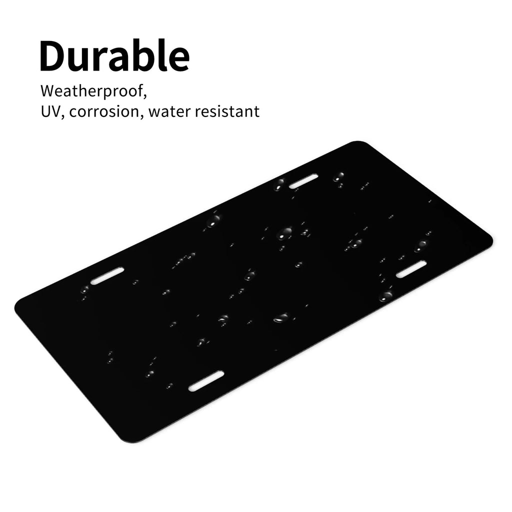 Patriotic Bald Eagle Aluminum License Plate – God Bless America Decorative License Plate HIP