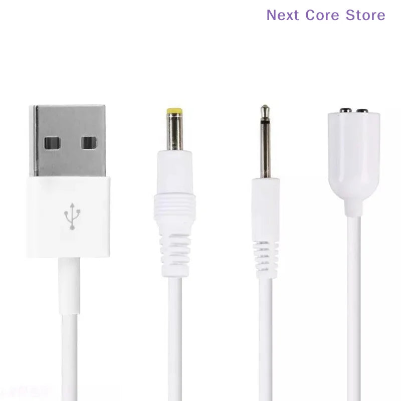 USB to 2.5mm DC Charging Cable for Wand Massagers | 0.5m Massager Charging Cable HIP